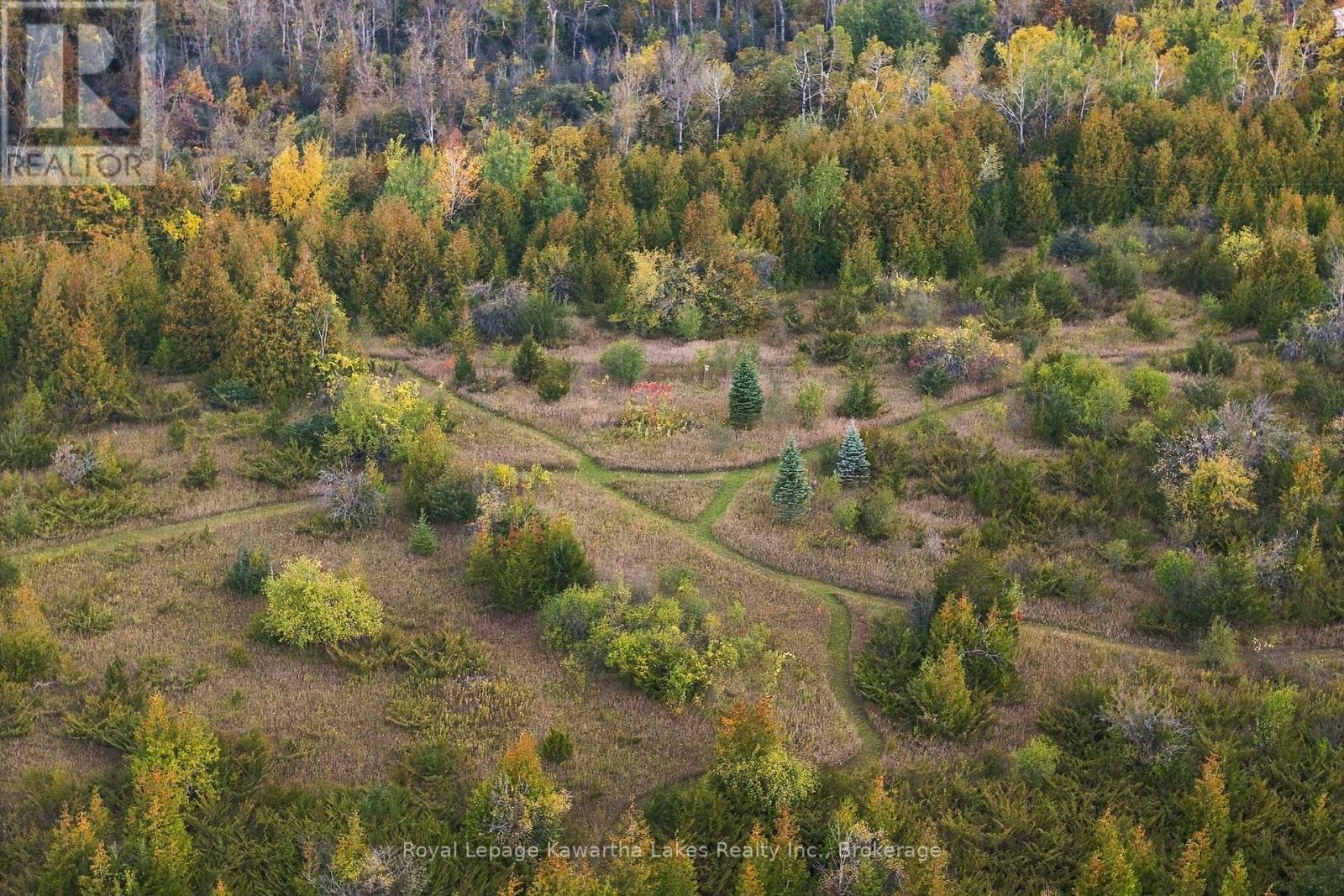 Pt Lt 17 Southside Road, Kawartha Lakes (Emily), Ontario  K9V 4R5 - Photo 12 - X13872834