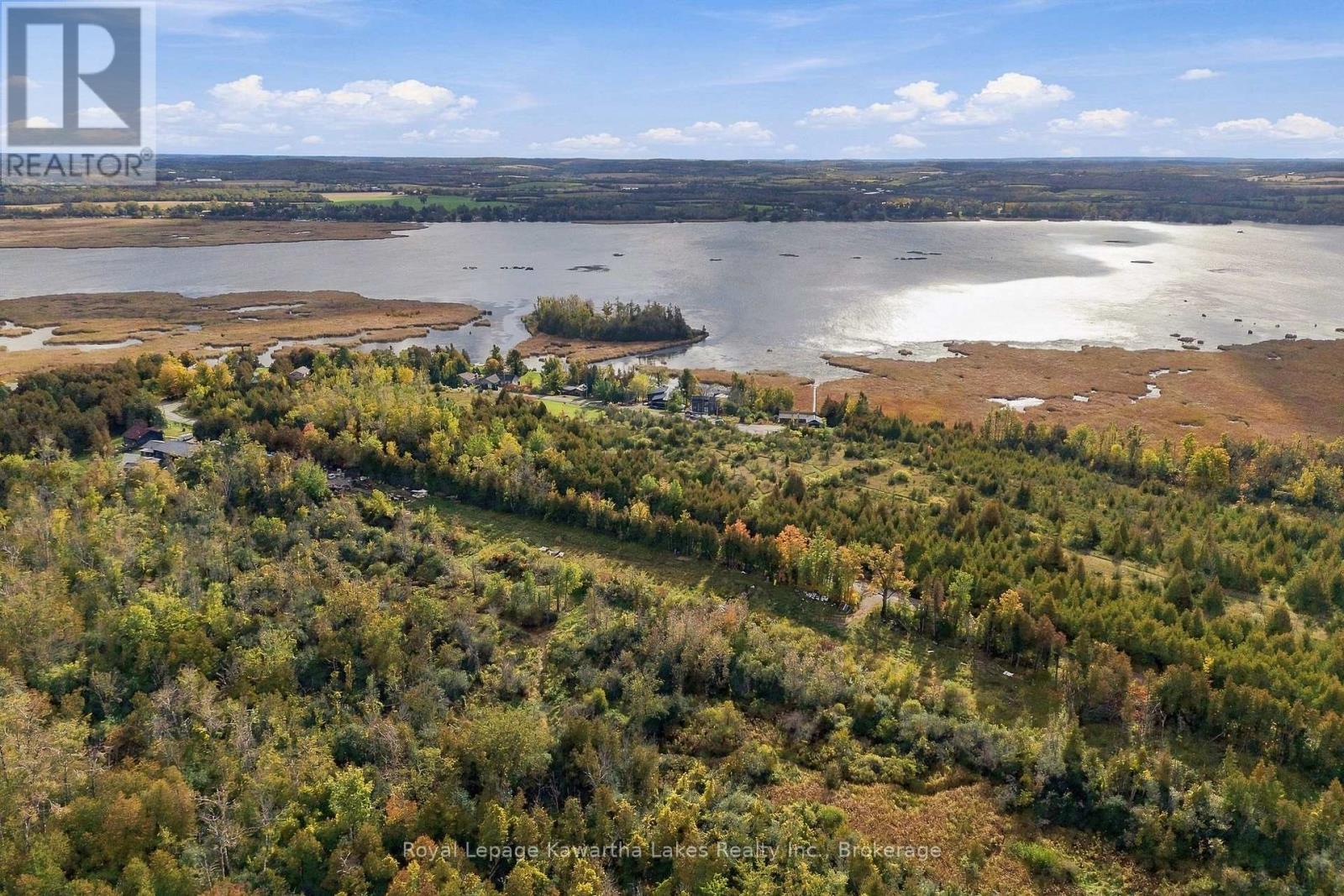 Pt Lt 17 Southside Road, Kawartha Lakes (Emily), Ontario  K9V 4R5 - Photo 14 - X13872834