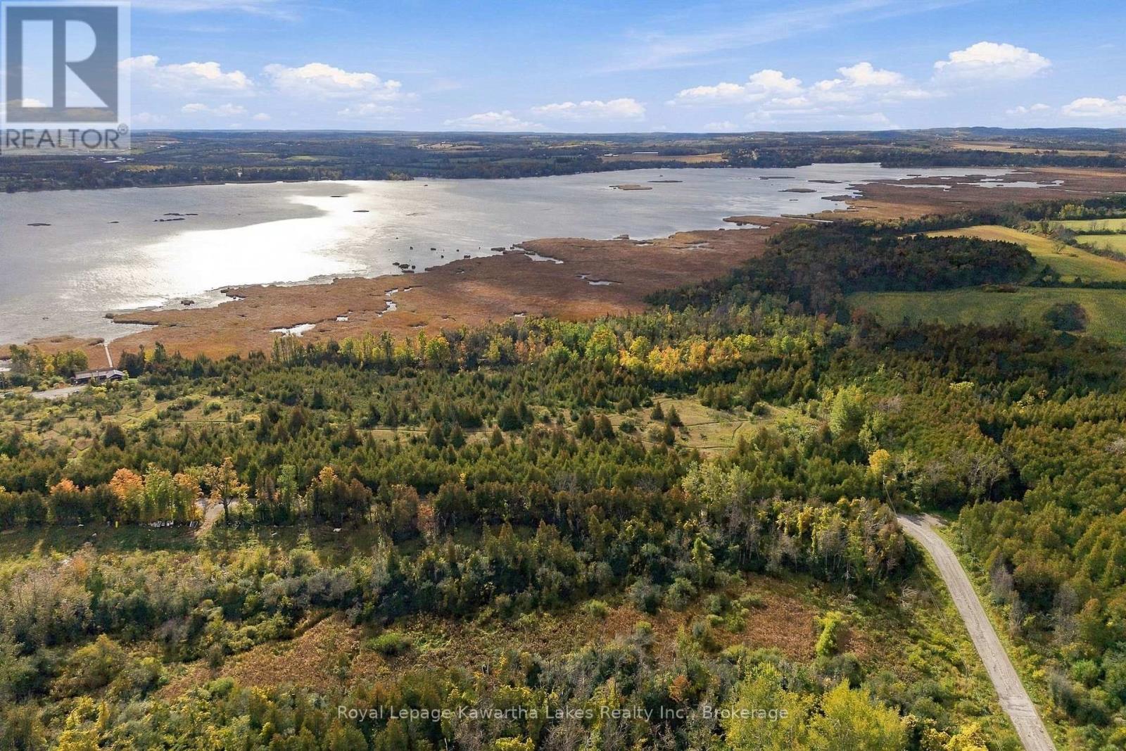 Pt Lt 17 Southside Road, Kawartha Lakes (Emily), Ontario  K9V 4R5 - Photo 15 - X13872834