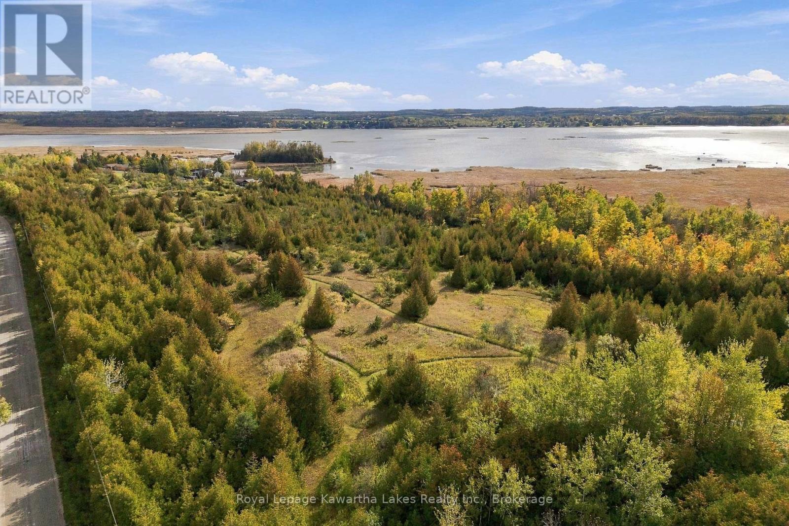 Pt Lt 17 Southside Road, Kawartha Lakes (Emily), Ontario  K9V 4R5 - Photo 16 - X13872834
