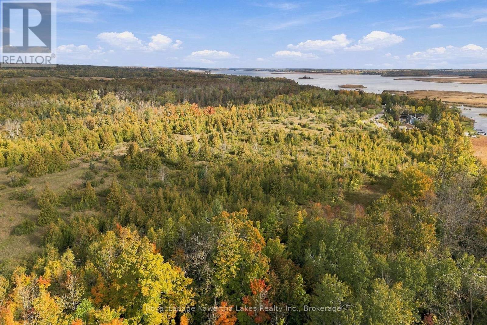 Pt Lt 17 Southside Road, Kawartha Lakes (Emily), Ontario  K9V 4R5 - Photo 17 - X13872834