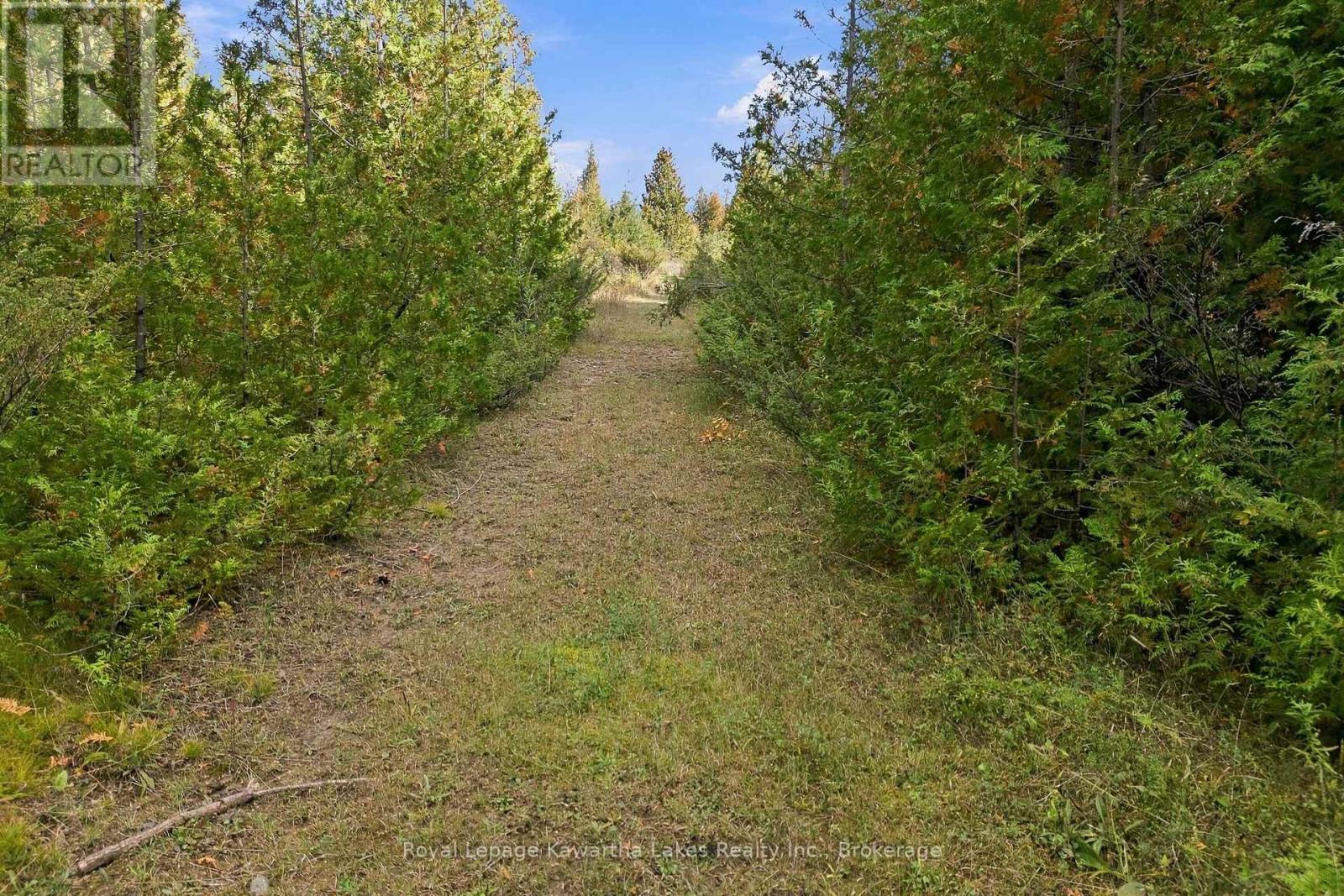 Pt Lt 17 Southside Road, Kawartha Lakes (Emily), Ontario  K9V 4R5 - Photo 18 - X13872834