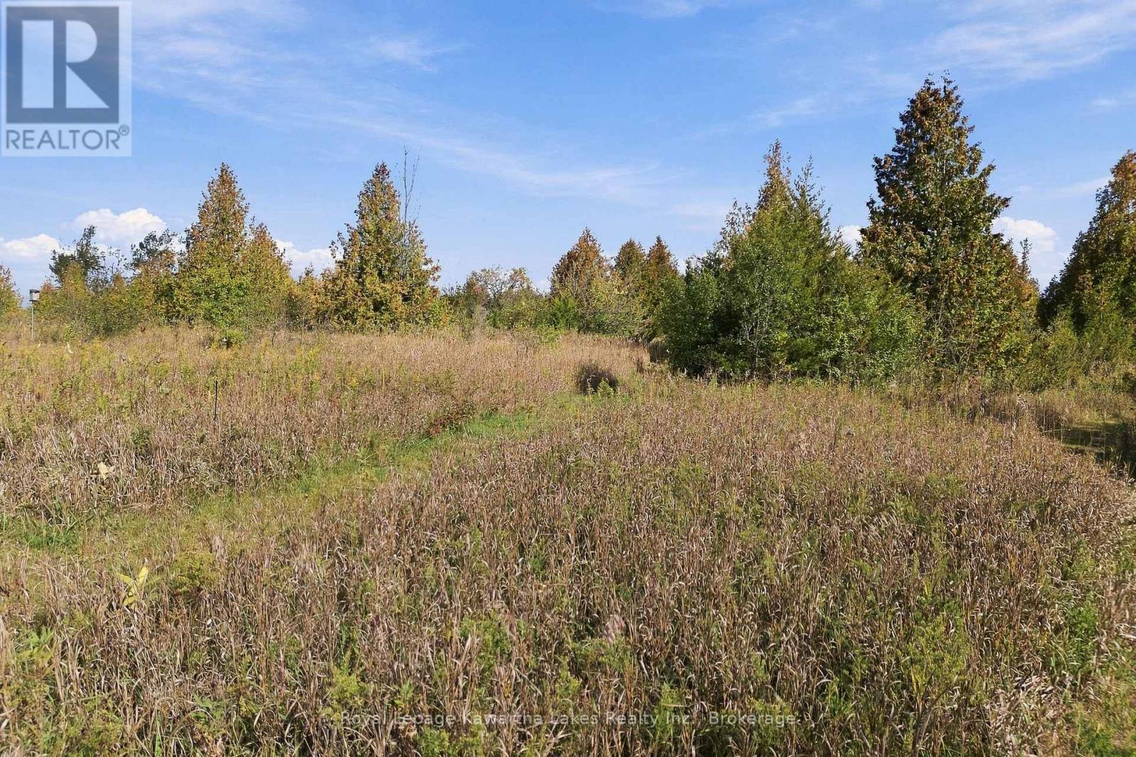 Pt Lt 17 Southside Road, Kawartha Lakes (Emily), Ontario  K9V 4R5 - Photo 19 - X13872834