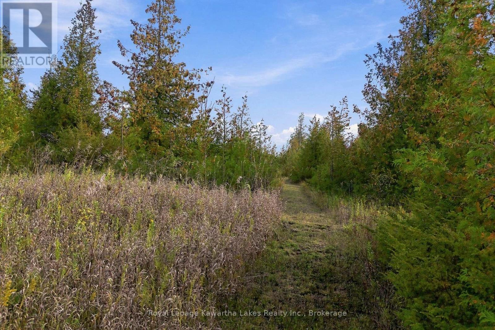 Pt Lt 17 Southside Road, Kawartha Lakes (Emily), Ontario  K9V 4R5 - Photo 20 - X13872834
