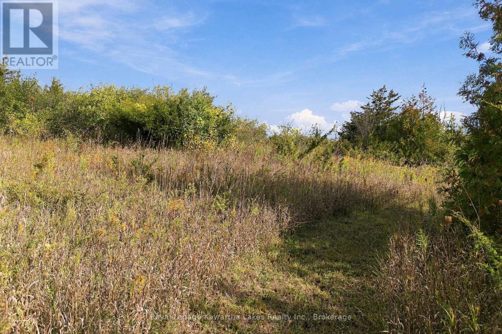 Pt Lt 17 Southside Road, Kawartha Lakes (Emily), Ontario  K9V 4R5 - Photo 21 - X13872834