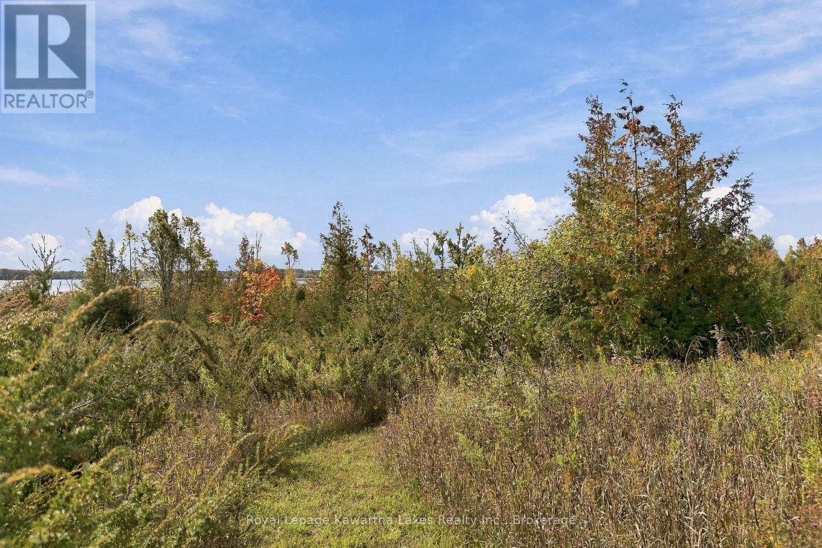 Pt Lt 17 Southside Road, Kawartha Lakes (Emily), Ontario  K9V 4R5 - Photo 22 - X13872834
