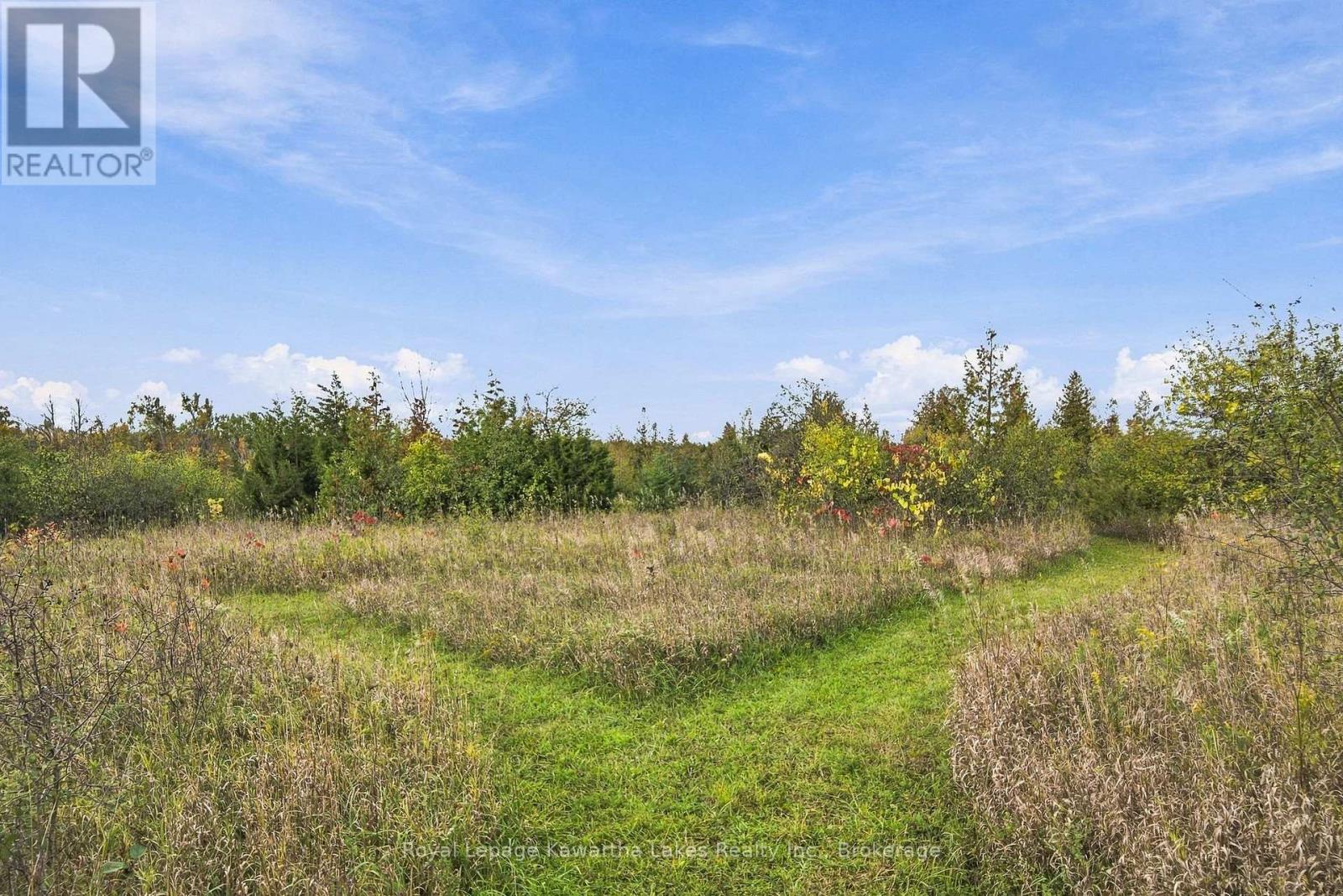 Pt Lt 17 Southside Road, Kawartha Lakes (Emily), Ontario  K9V 4R5 - Photo 25 - X13872834