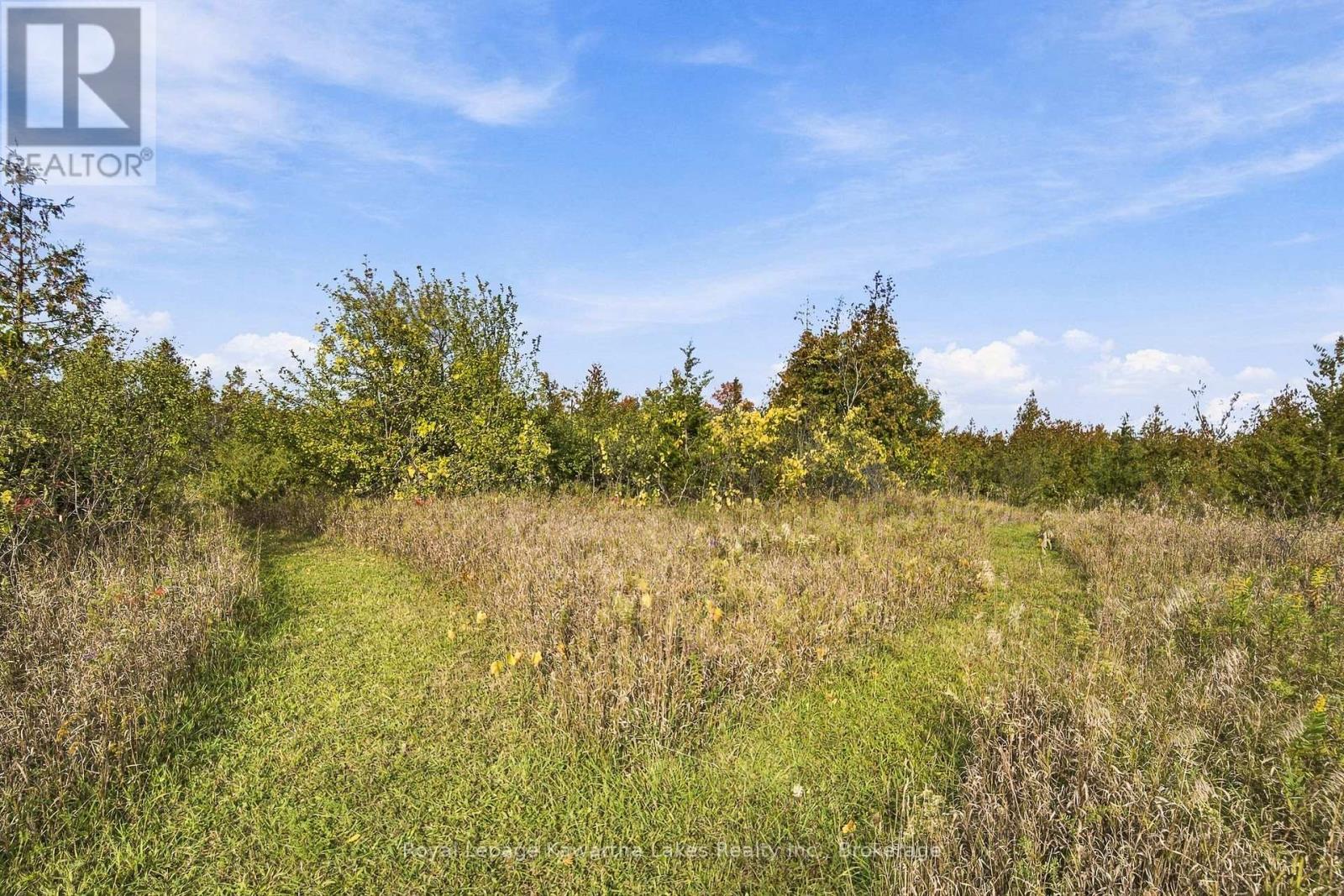 Pt Lt 17 Southside Road, Kawartha Lakes (Emily), Ontario  K9V 4R5 - Photo 26 - X13872834