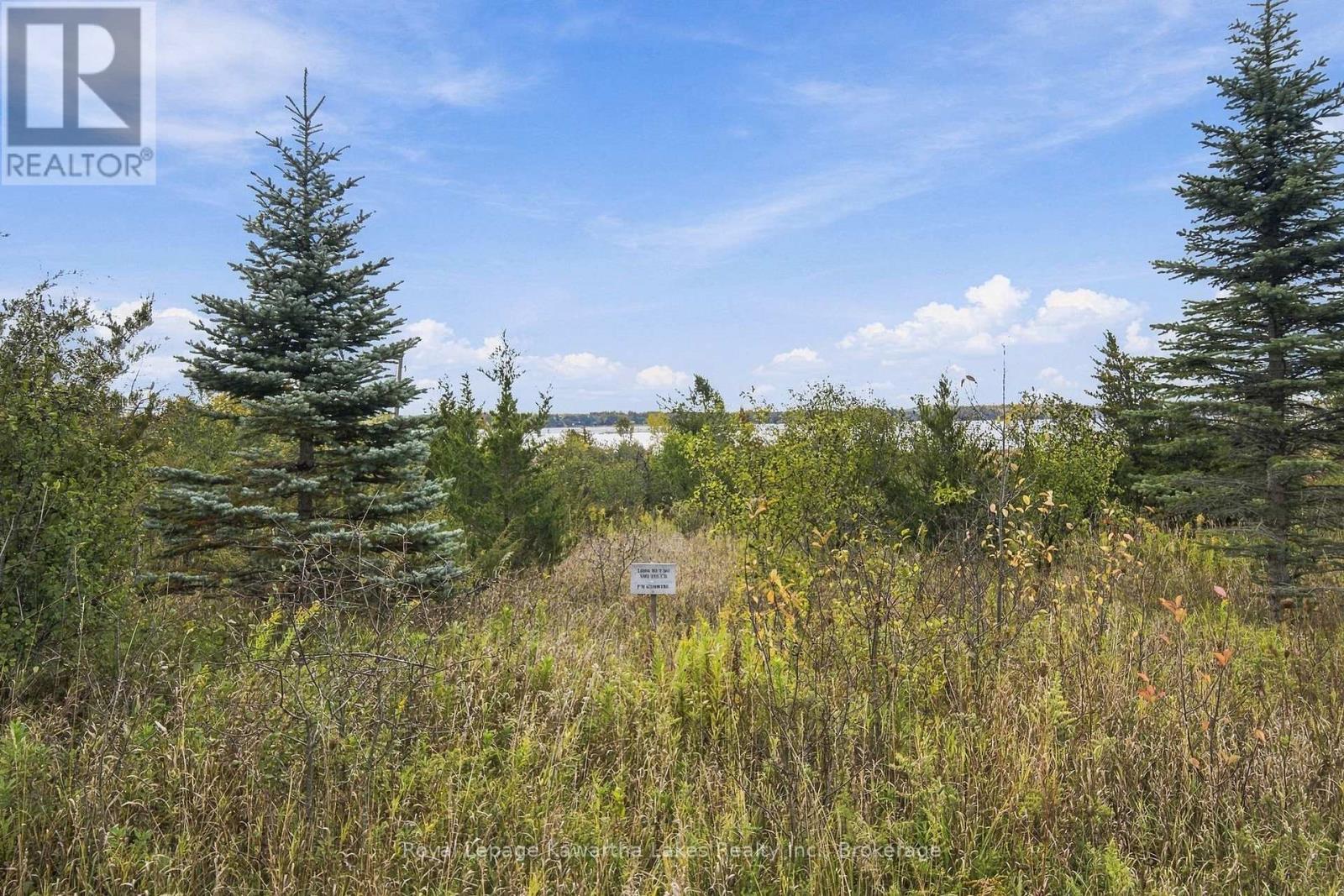 Pt Lt 17 Southside Road, Kawartha Lakes (Emily), Ontario  K9V 4R5 - Photo 27 - X13872834