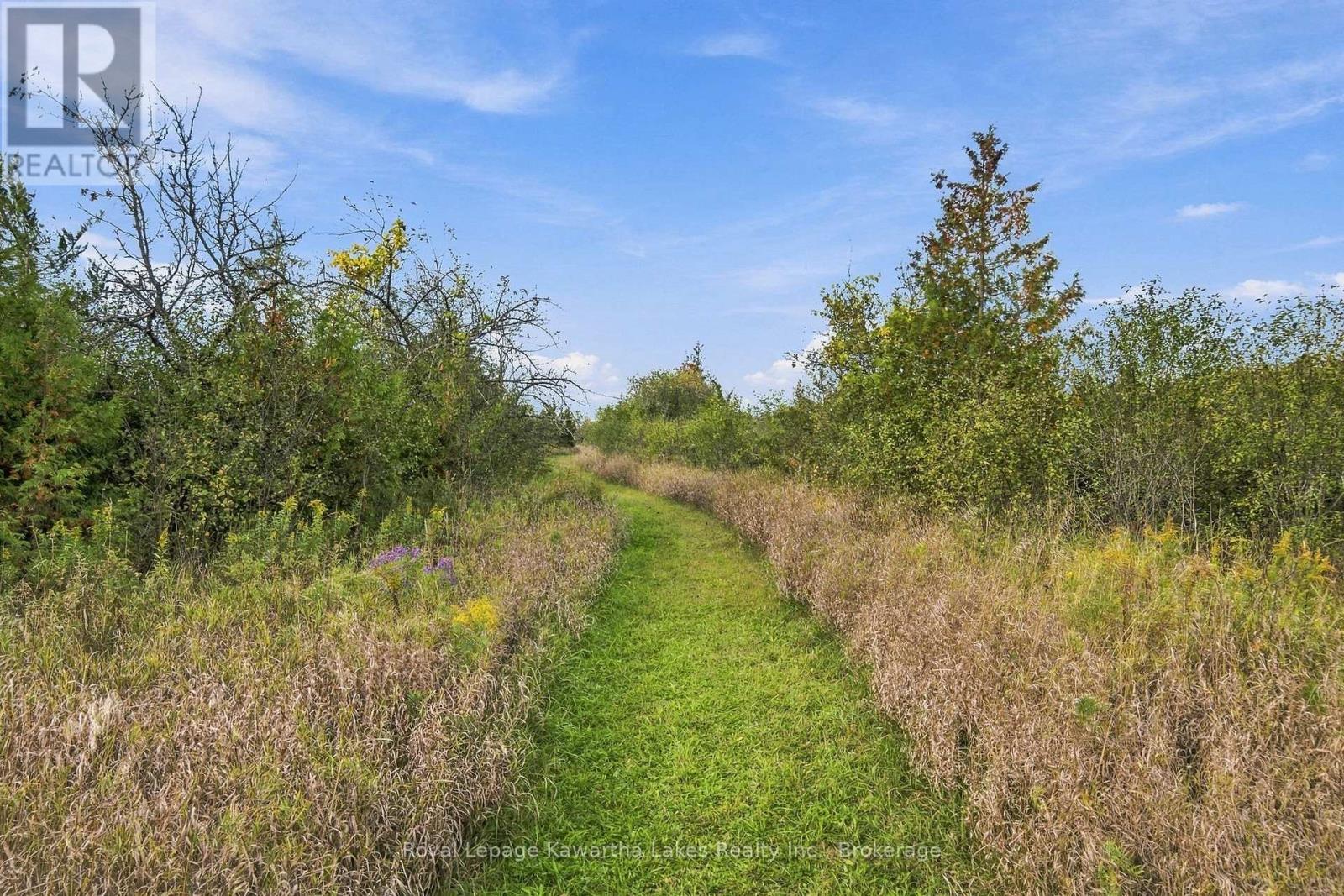 Pt Lt 17 Southside Road, Kawartha Lakes (Emily), Ontario  K9V 4R5 - Photo 28 - X13872834