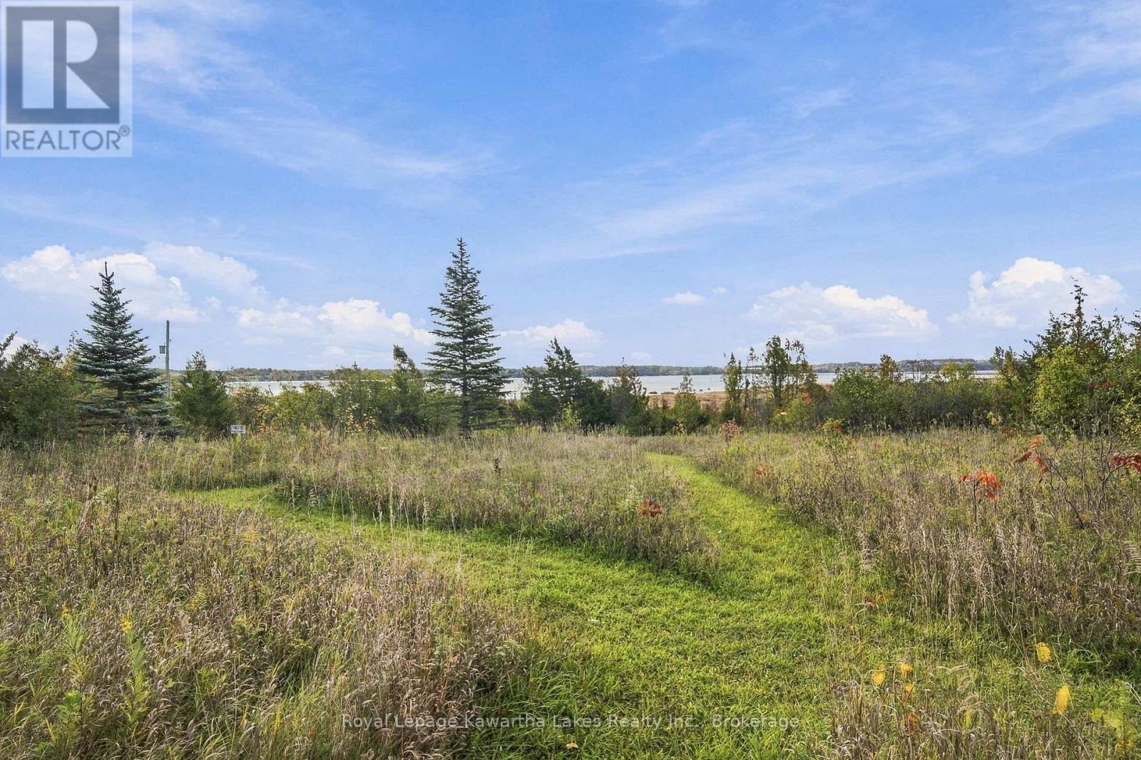 Pt Lt 17 Southside Road, Kawartha Lakes (Emily), Ontario  K9V 4R5 - Photo 29 - X13872834