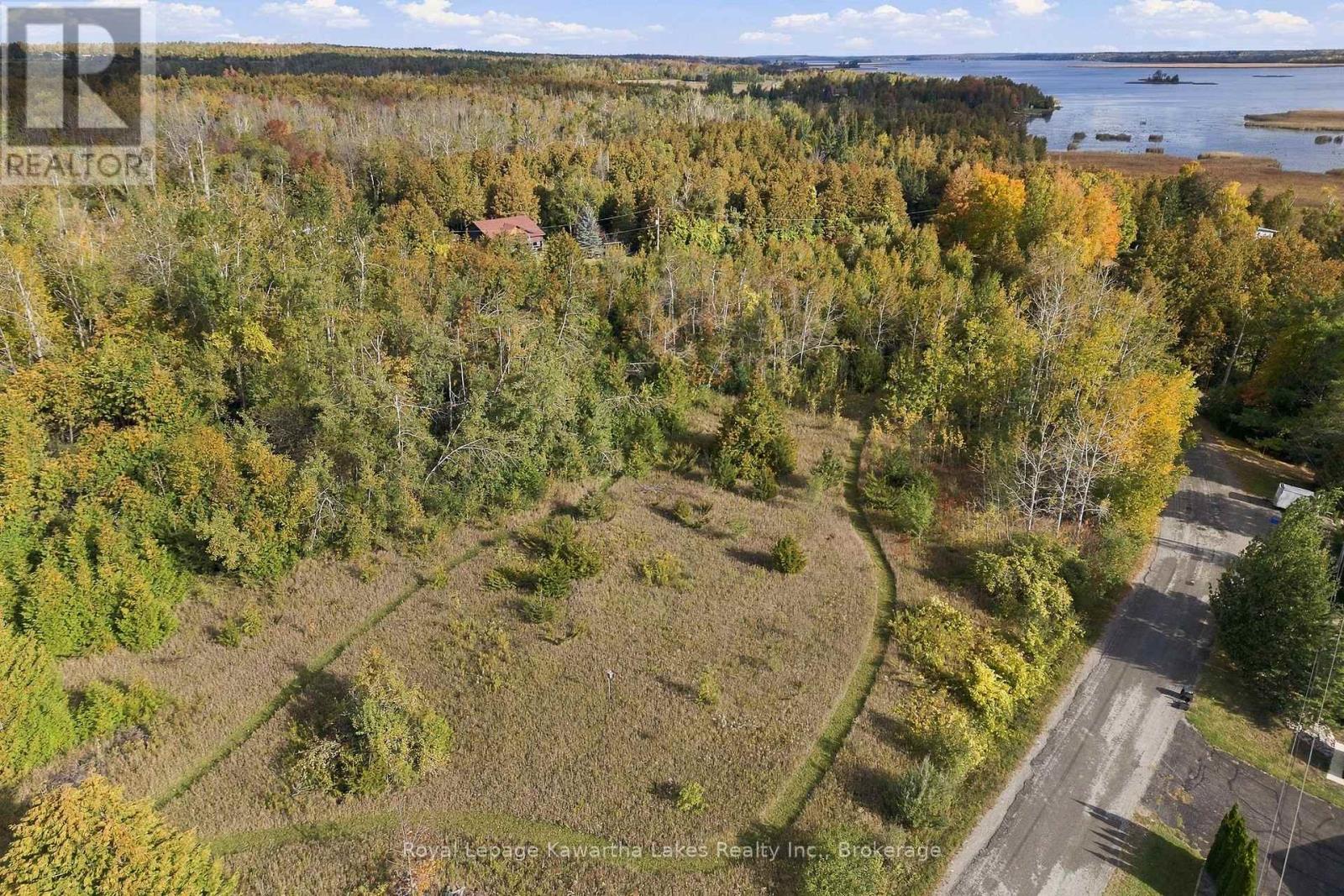 Pt Lt 17 Southside Road, Kawartha Lakes (Emily), Ontario  K9V 4R5 - Photo 3 - X13872834