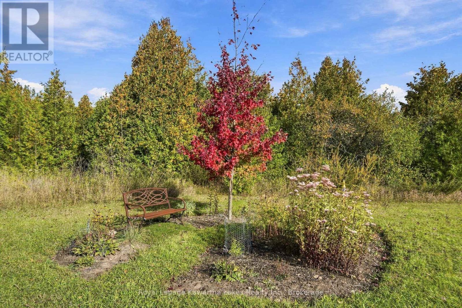 Pt Lt 17 Southside Road, Kawartha Lakes (Emily), Ontario  K9V 4R5 - Photo 30 - X13872834