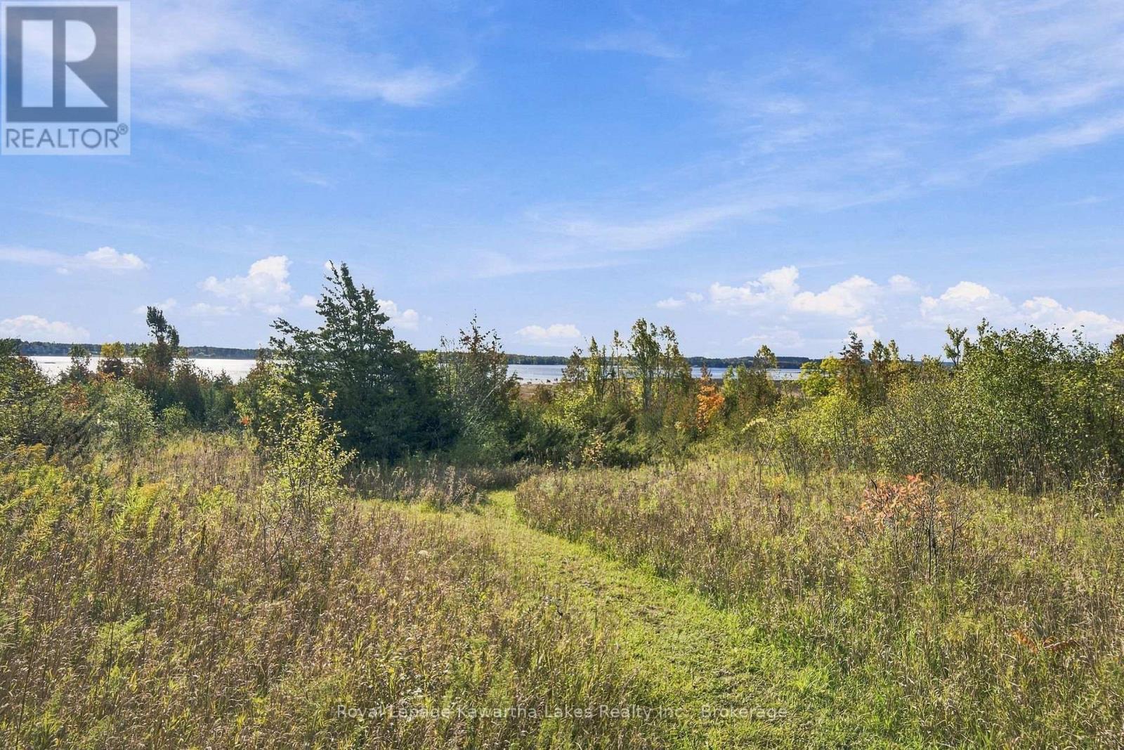 Pt Lt 17 Southside Road, Kawartha Lakes (Emily), Ontario  K9V 4R5 - Photo 31 - X13872834