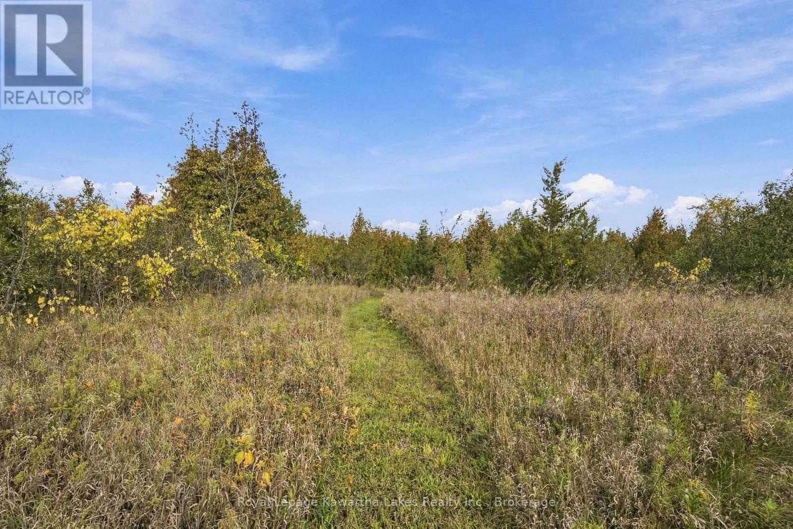 Pt Lt 17 Southside Road, Kawartha Lakes (Emily), Ontario  K9V 4R5 - Photo 32 - X13872834