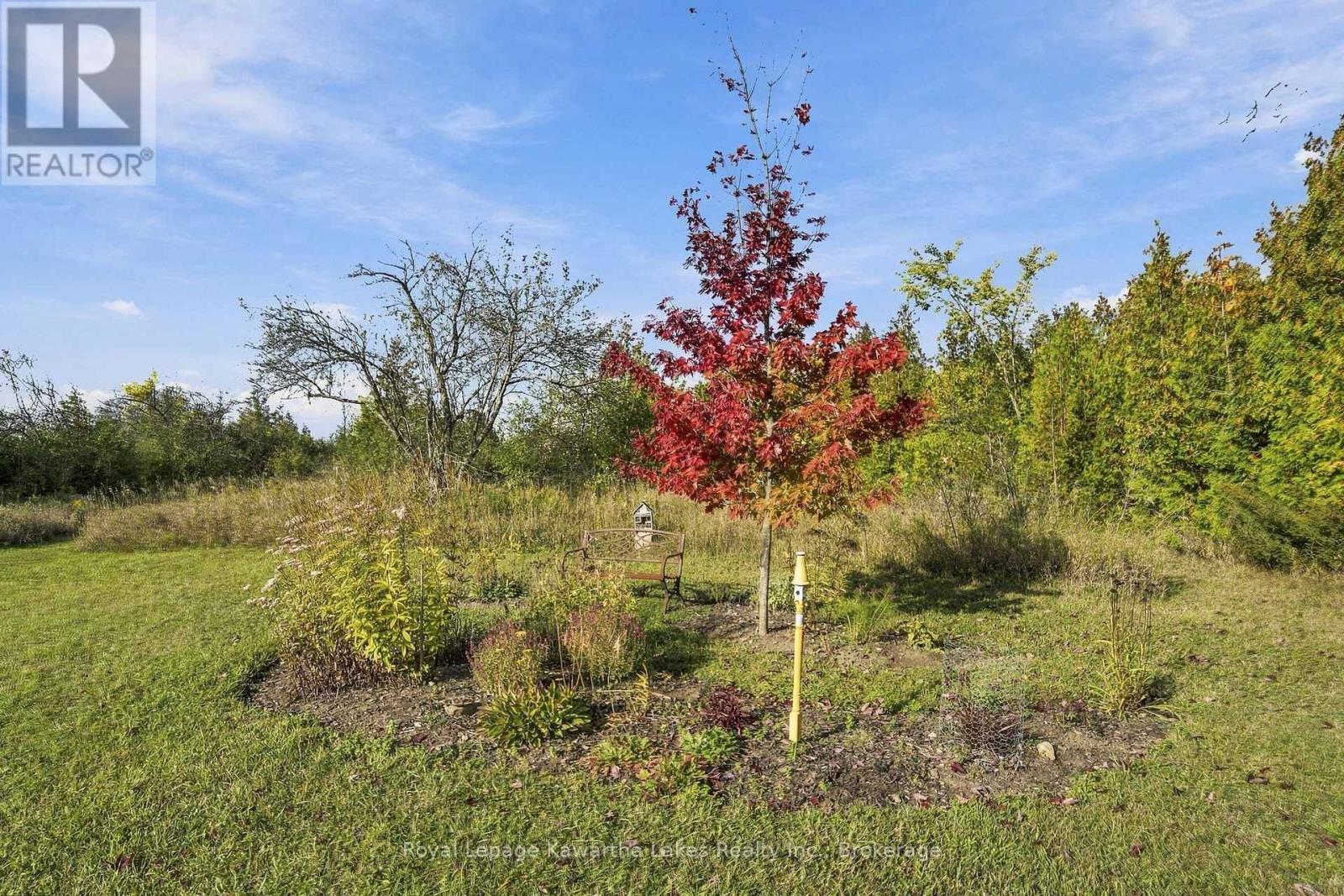 Pt Lt 17 Southside Road, Kawartha Lakes (Emily), Ontario  K9V 4R5 - Photo 33 - X13872834