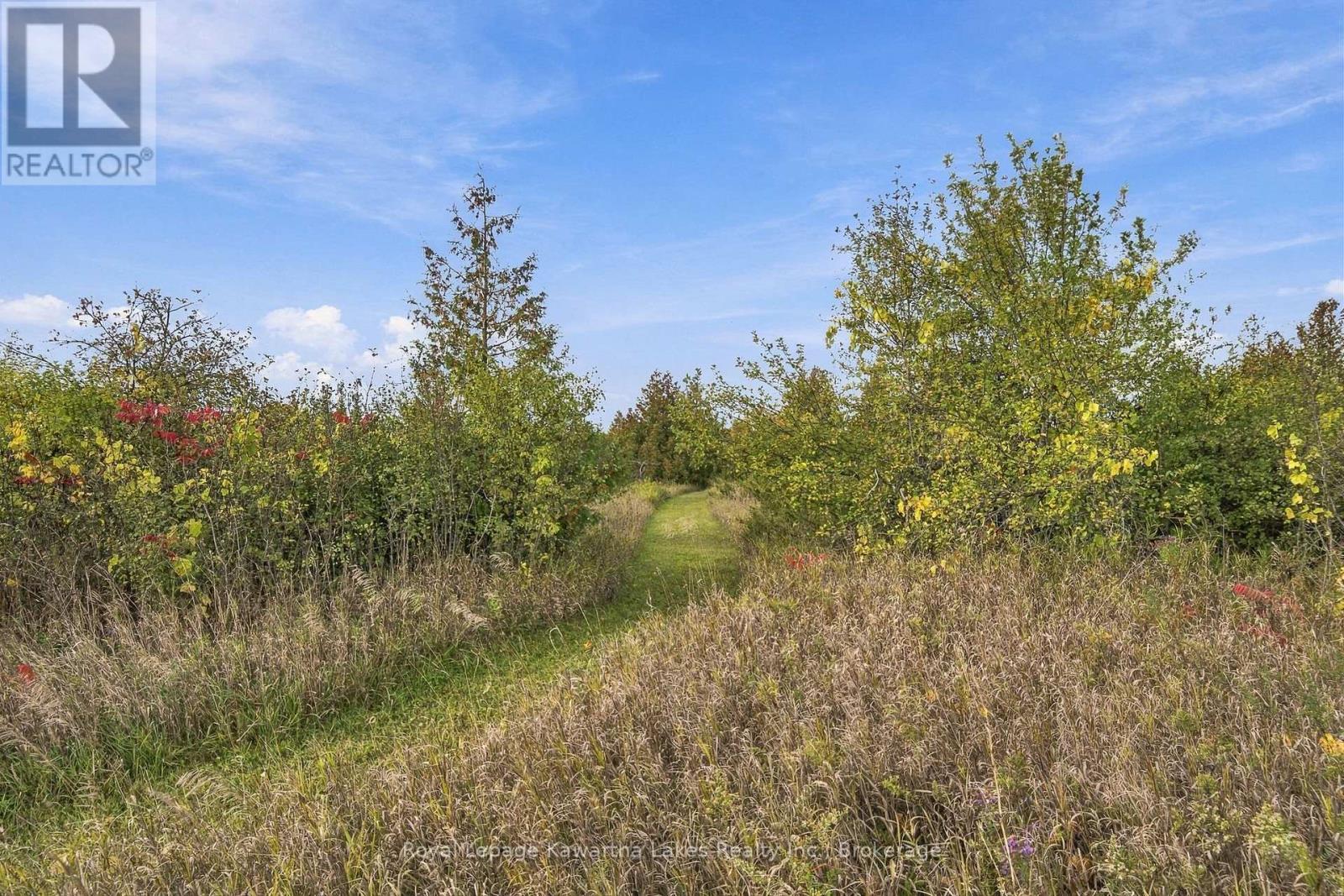 Pt Lt 17 Southside Road, Kawartha Lakes (Emily), Ontario  K9V 4R5 - Photo 35 - X13872834