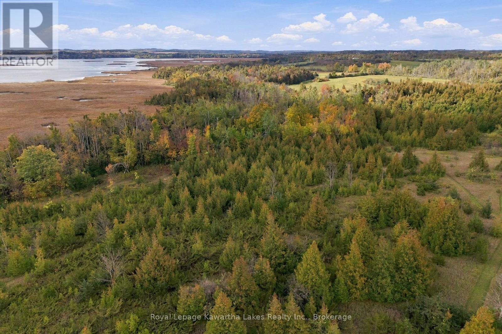 Pt Lt 17 Southside Road, Kawartha Lakes (Emily), Ontario  K9V 4R5 - Photo 36 - X13872834