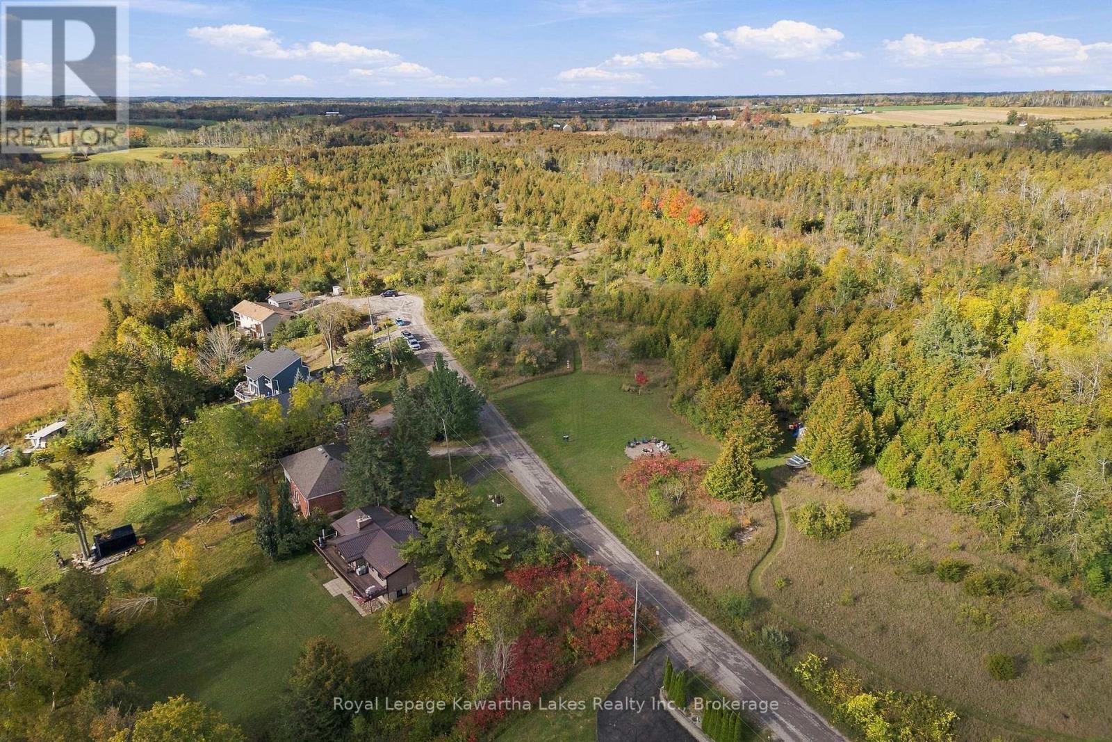 Pt Lt 17 Southside Road, Kawartha Lakes (Emily), Ontario  K9V 4R5 - Photo 4 - X13872834