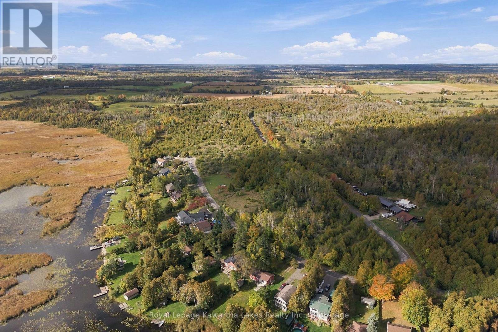 Pt Lt 17 Southside Road, Kawartha Lakes (Emily), Ontario  K9V 4R5 - Photo 5 - X13872834