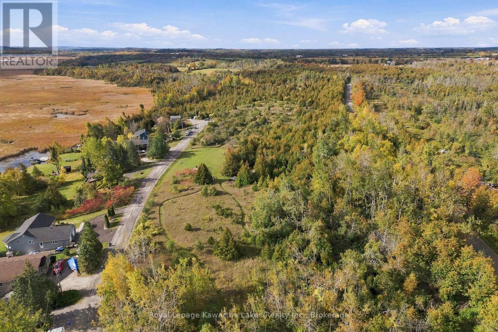 Pt Lt 17 Southside Road, Kawartha Lakes (Emily), Ontario  K9V 4R5 - Photo 6 - X13872834