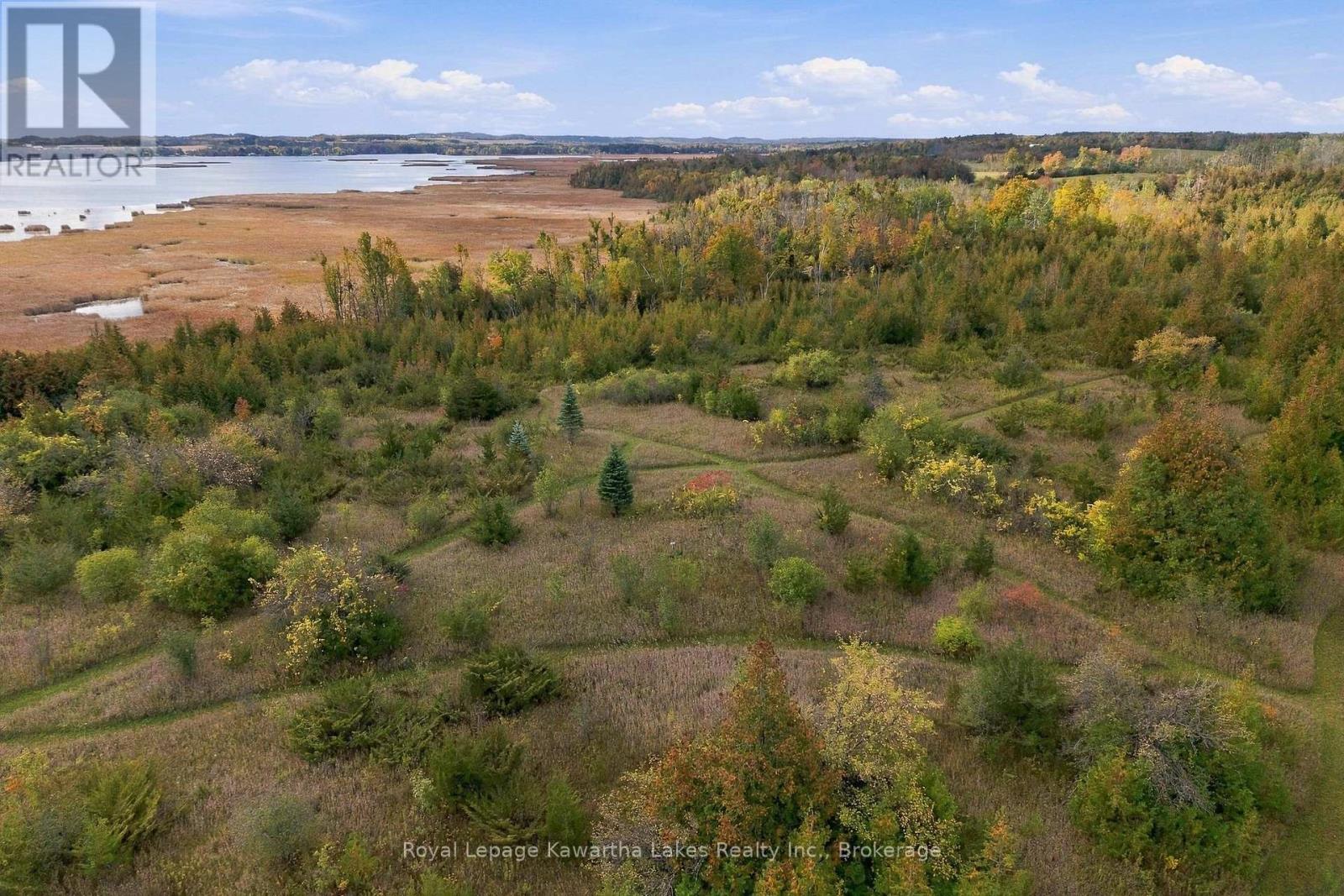 Pt Lt 17 Southside Road, Kawartha Lakes (Emily), Ontario  K9V 4R5 - Photo 7 - X13872834