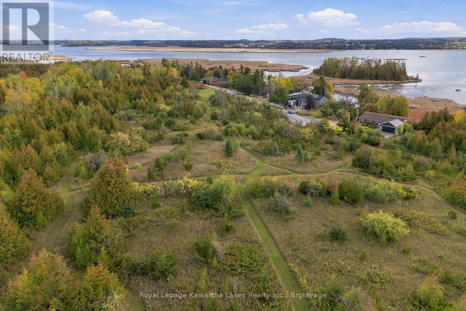 Pt Lt 17 Southside Road, Kawartha Lakes (Emily), Ontario  K9V 4R5 - Photo 8 - X13872834