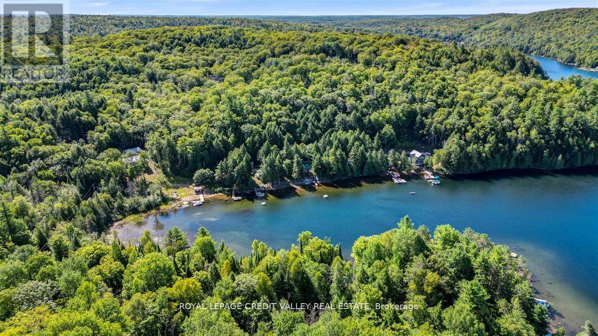 292 Caroline Court, Faraday, Ontario  K0L 1C0 - Photo 30 - X13873804