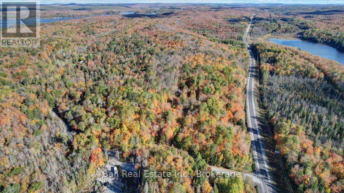 23 Concession 18 Road, North Kawartha, Ontario  K0L 1A0 - Photo 5 - X13875460
