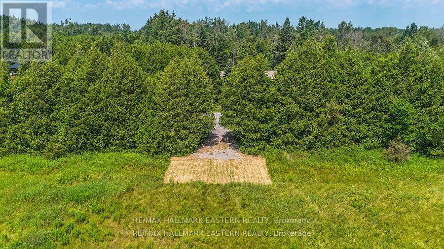 0 Con 10 Lot 5 Old Norwood Road, Havelock-Belmont-Methuen (Belmont-Methuen), Ontario  K0L 1Z0 - Photo 2 - X13875638