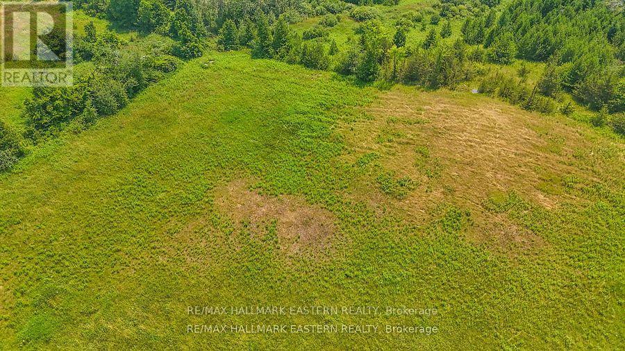 0 Con 10 Lot 5 Old Norwood Road, Havelock-Belmont-Methuen (Belmont-Methuen), Ontario  K0L 1Z0 - Photo 3 - X13875638