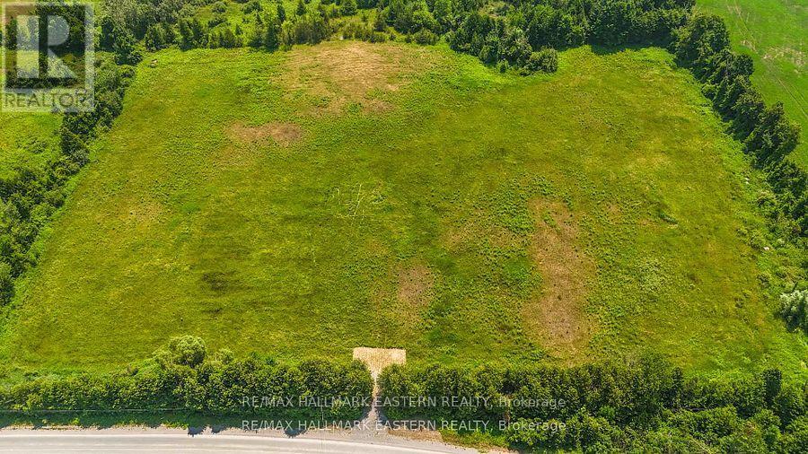 0 Con 10 Lot 5 Old Norwood Road, Havelock-Belmont-Methuen (Belmont-Methuen), Ontario  K0L 1Z0 - Photo 6 - X13875638
