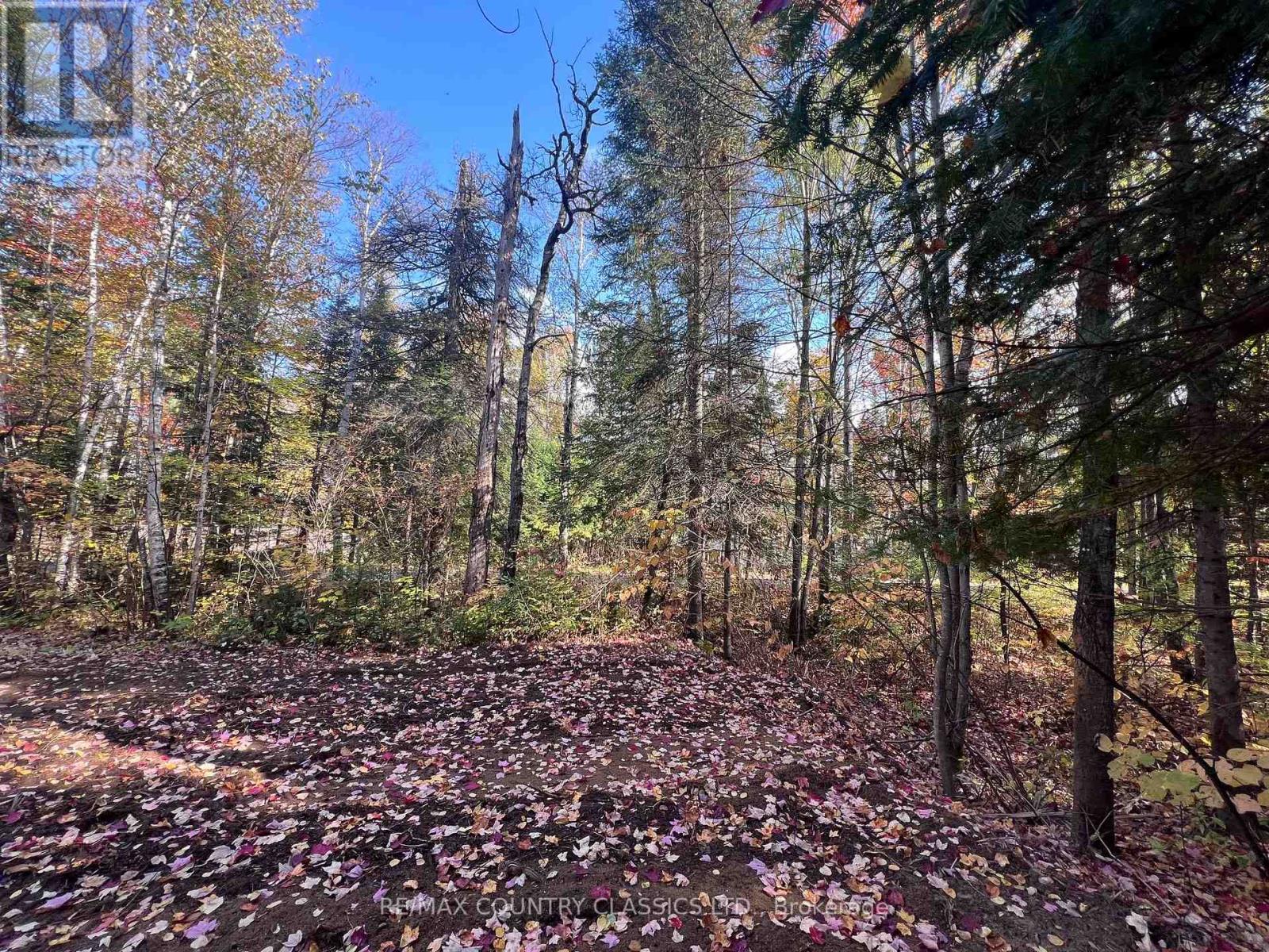 0 HIGH BUSH ROAD, hastings highlands (mcclure ward), Ontario