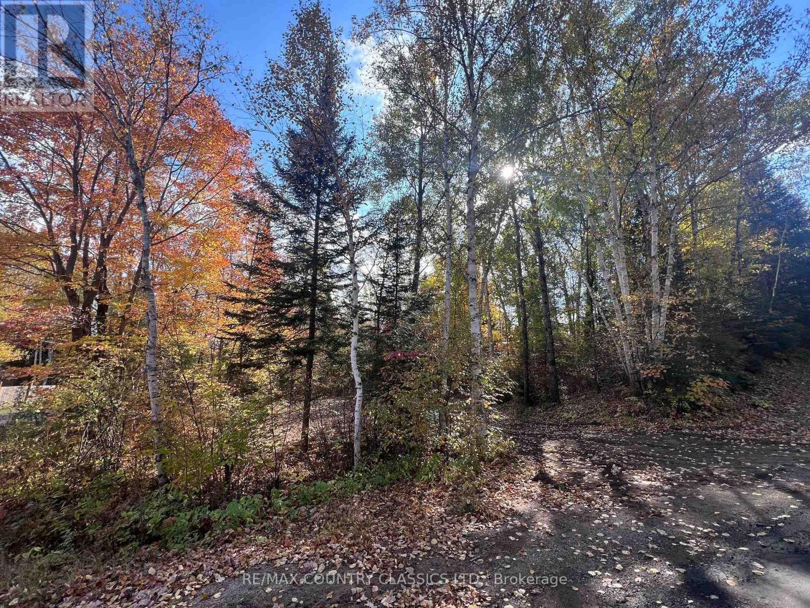 0 High Bush Road, Hastings Highlands (Mcclure Ward), Ontario  K0L 2W0 - Photo 2 - X13876338
