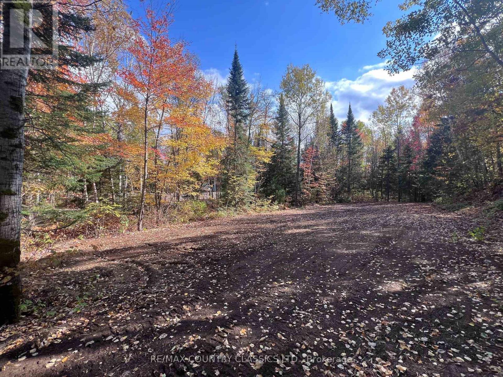 0 High Bush Road, Hastings Highlands (Mcclure Ward), Ontario  K0L 2W0 - Photo 3 - X13876338