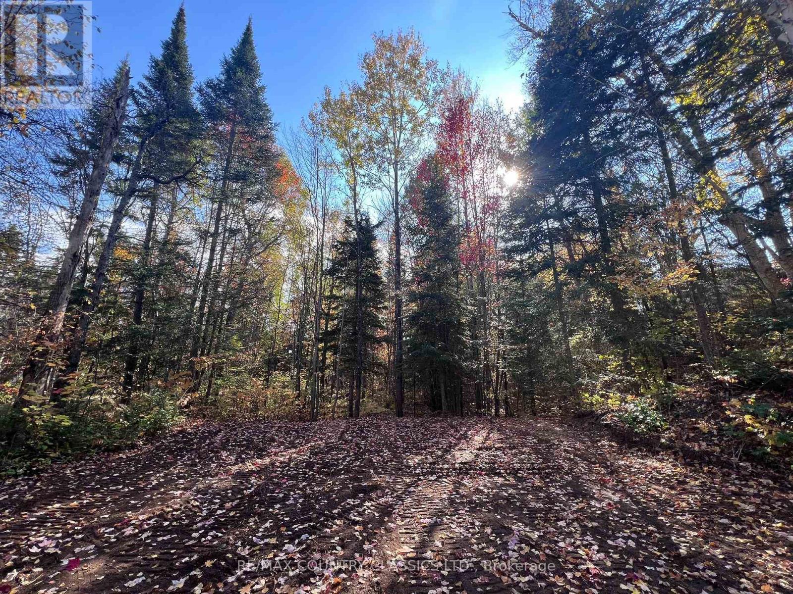 0 High Bush Road, Hastings Highlands (Mcclure Ward), Ontario  K0L 2W0 - Photo 6 - X13876338