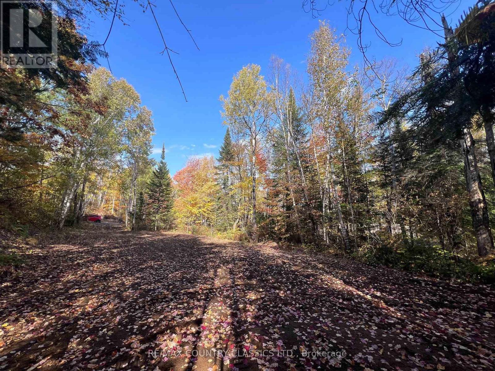 0 High Bush Road, Hastings Highlands (Mcclure Ward), Ontario  K0L 2W0 - Photo 7 - X13876338