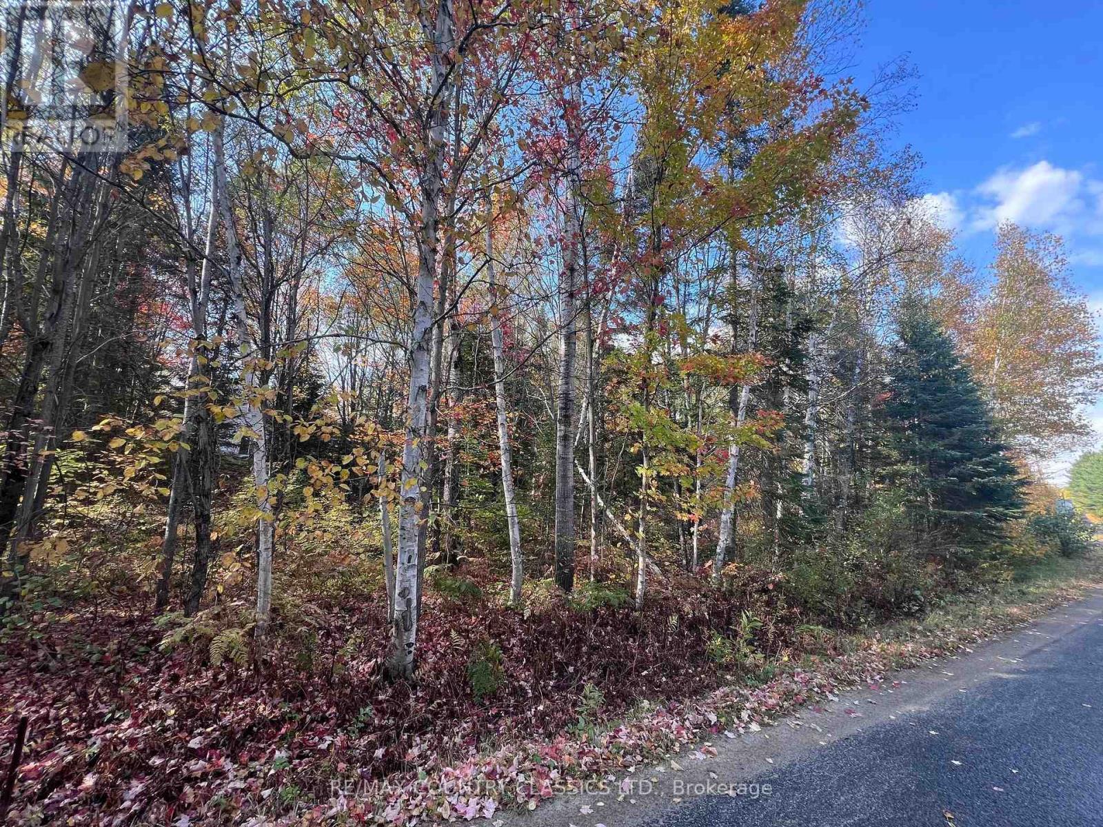 0 High Bush Road, Hastings Highlands (Mcclure Ward), Ontario  K0L 2W0 - Photo 9 - X13876338