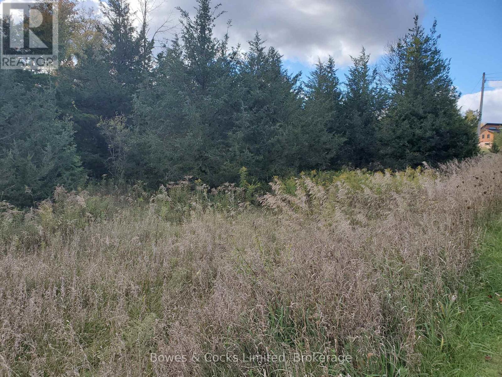 Lot 12 Lakeview Drive, Trent Hills, Ontario  K0L 1L0 - Photo 10 - X13876878