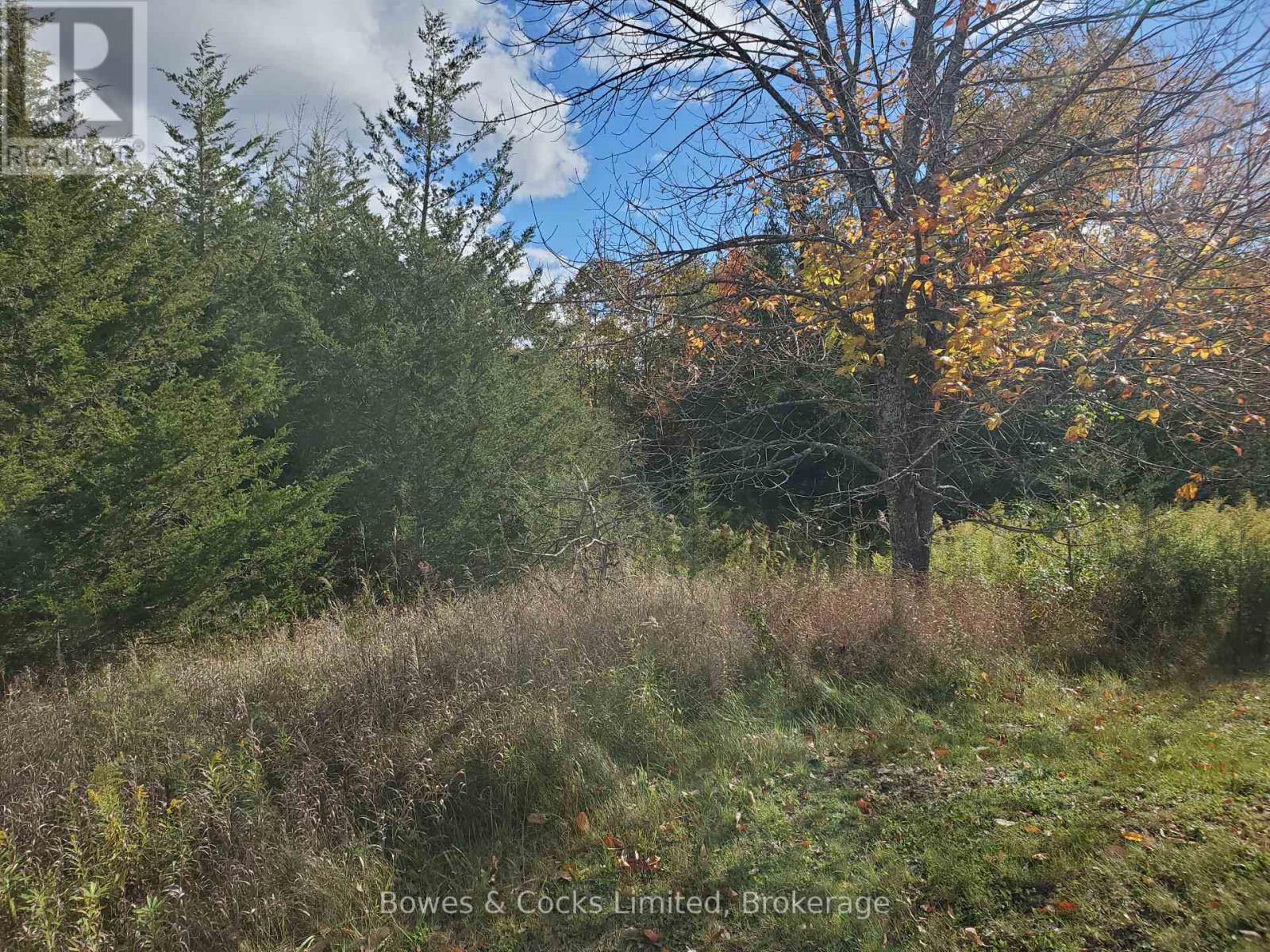 Lot 12 Lakeview Drive, Trent Hills, Ontario  K0L 1L0 - Photo 11 - X13876878