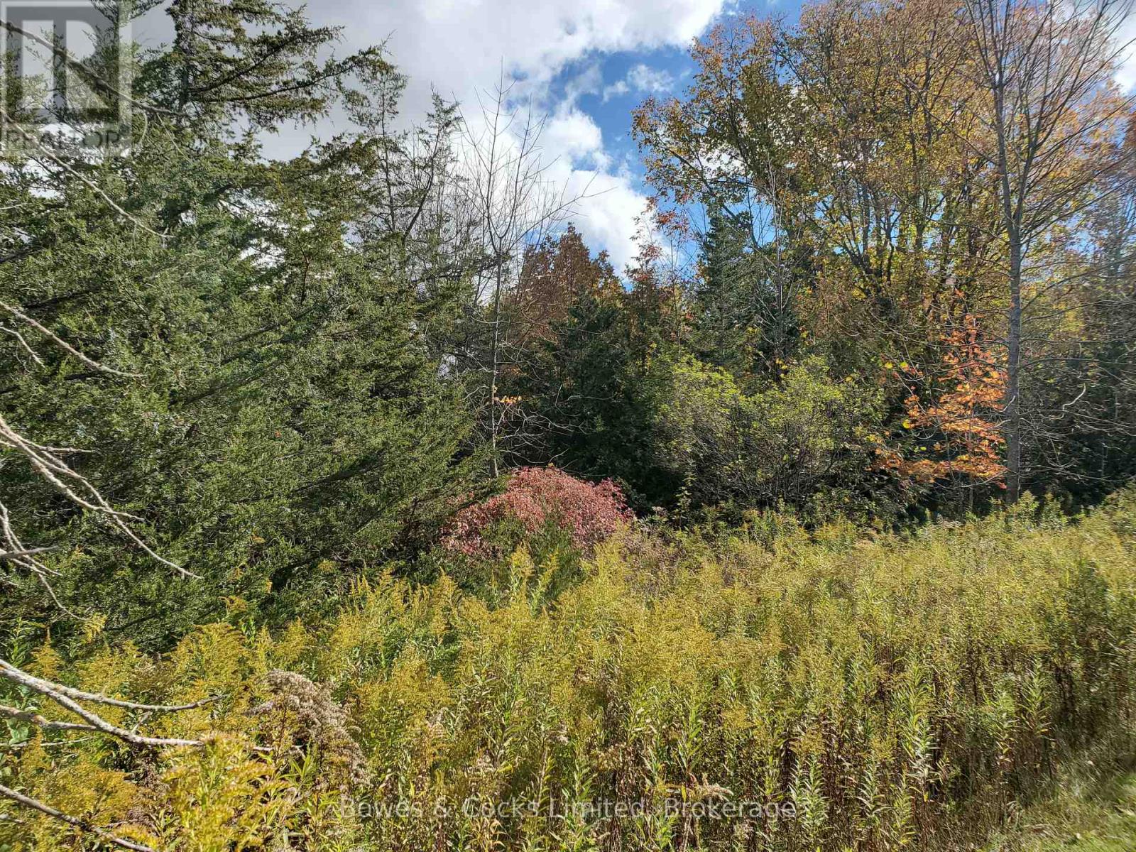 Lot 12 Lakeview Drive, Trent Hills, Ontario  K0L 1L0 - Photo 12 - X13876878