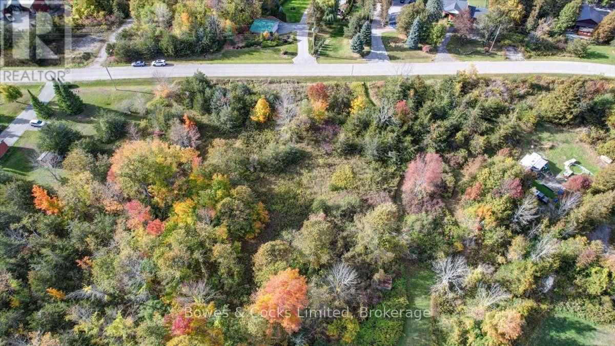 Lot 12 Lakeview Drive, Trent Hills, Ontario  K0L 1L0 - Photo 6 - X13876878