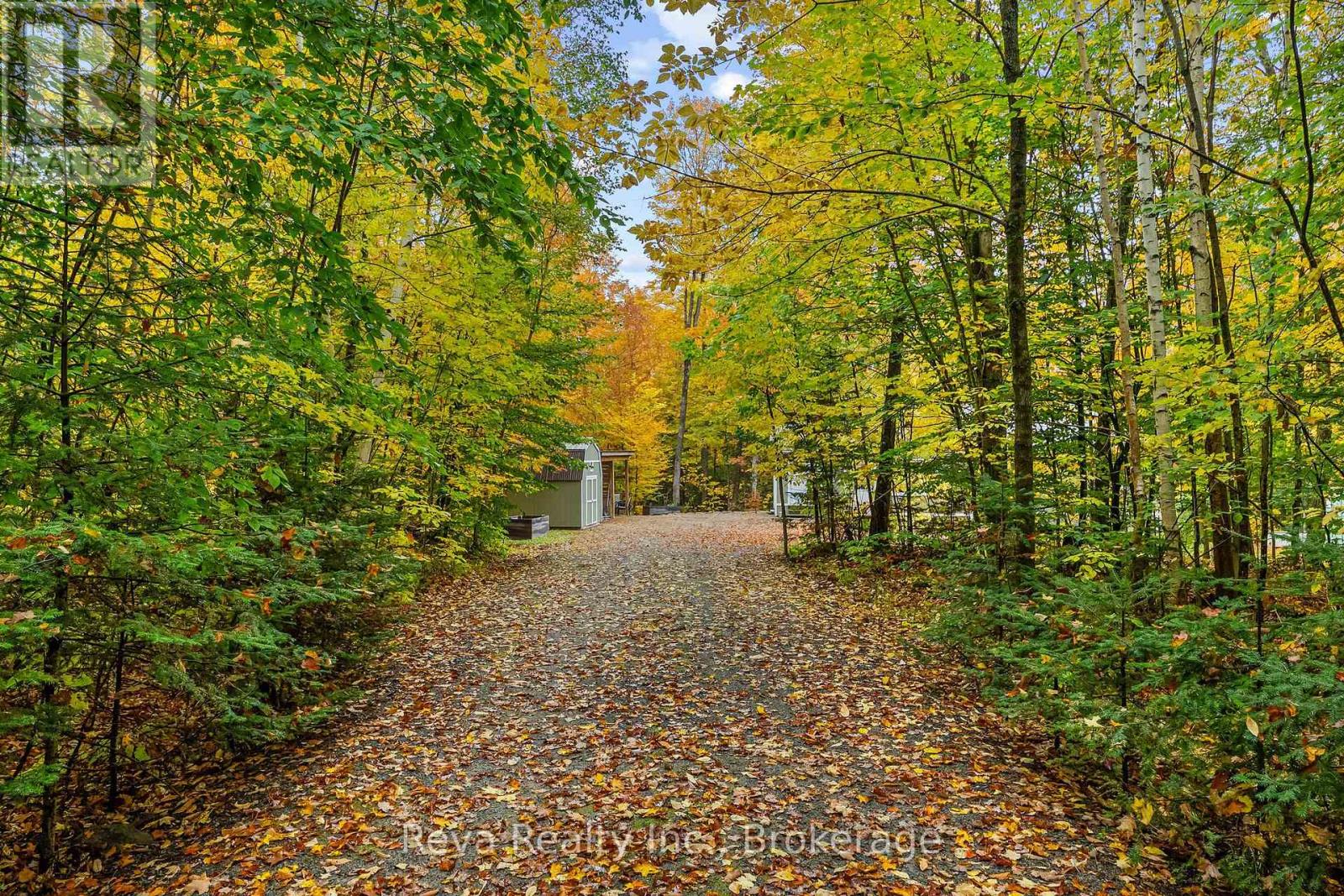 595 Old Diamond Lake Road, Hastings Highlands (Herschel Ward), Ontario  K0L 1C0 - Photo 26 - X13877974