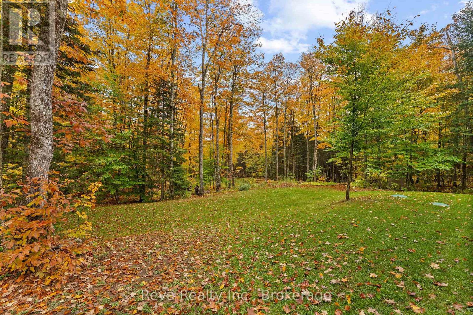 595 Old Diamond Lake Road, Hastings Highlands (Herschel Ward), Ontario  K0L 1C0 - Photo 31 - X13877974