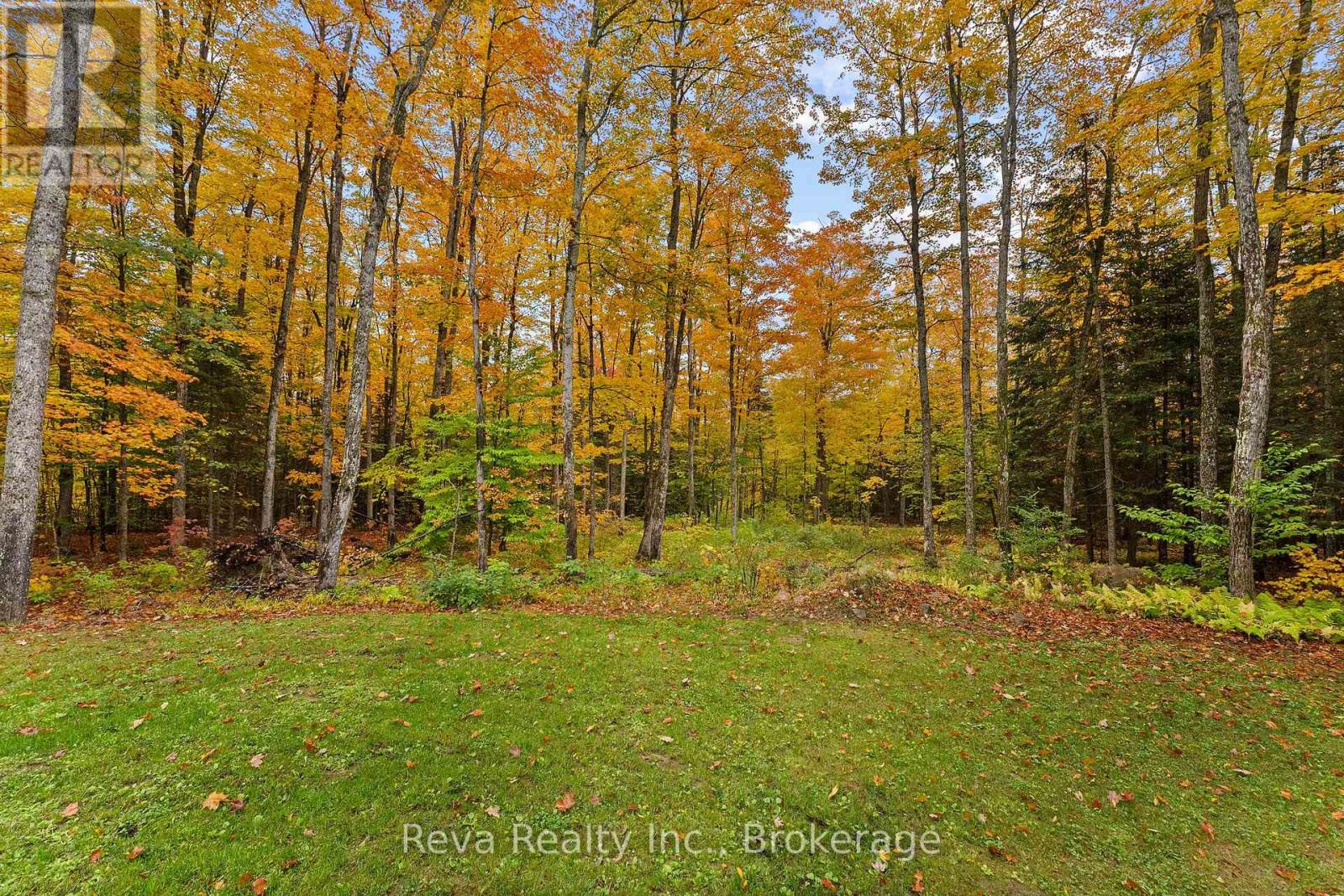 595 Old Diamond Lake Road, Hastings Highlands (Herschel Ward), Ontario  K0L 1C0 - Photo 32 - X13877974