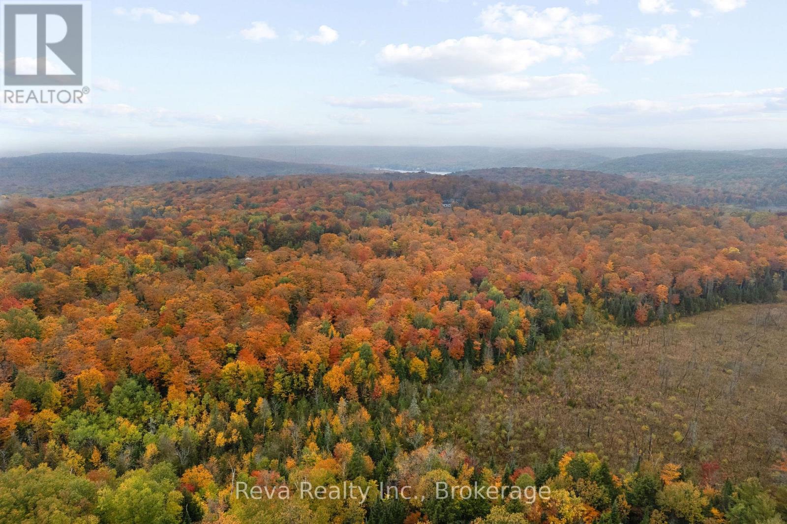 595 Old Diamond Lake Road, Hastings Highlands (Herschel Ward), Ontario  K0L 1C0 - Photo 37 - X13877974