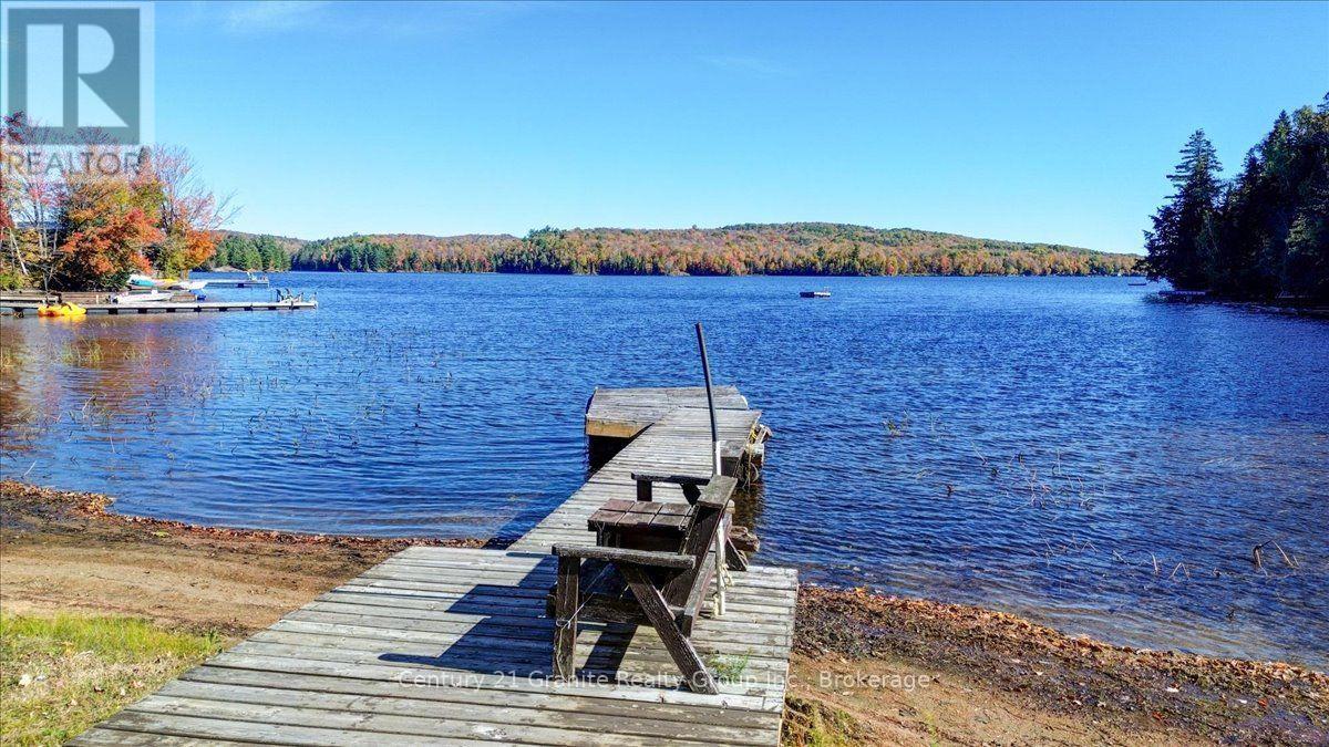 354 Forestview Road N, Hastings Highlands (Herschel Ward), Ontario  K0L 1C0 - Photo 2 - X13880418