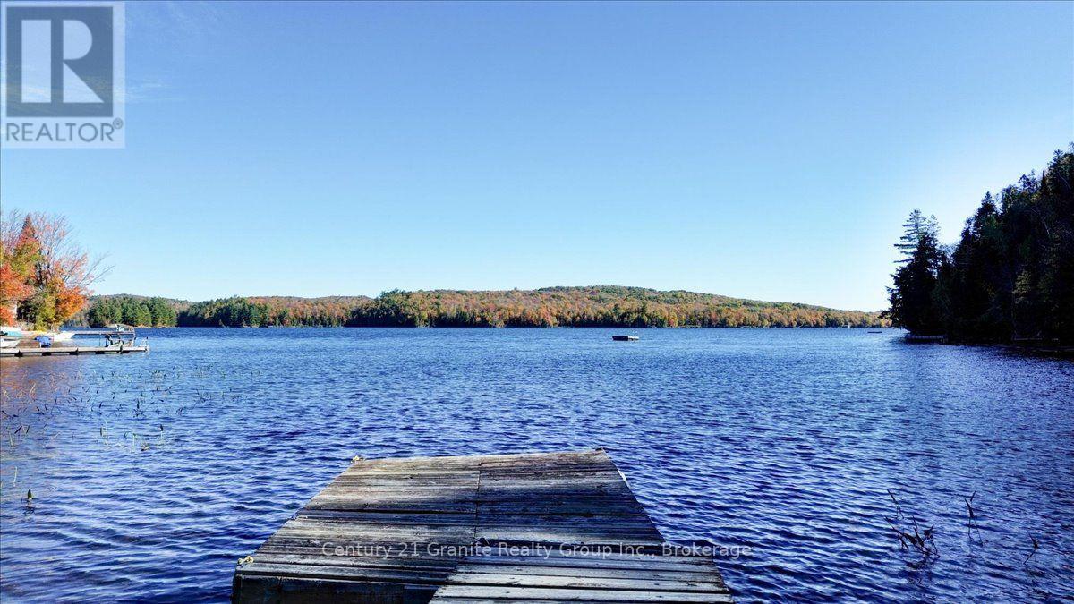 354 Forestview Road N, Hastings Highlands (Herschel Ward), Ontario  K0L 1C0 - Photo 32 - X13880418