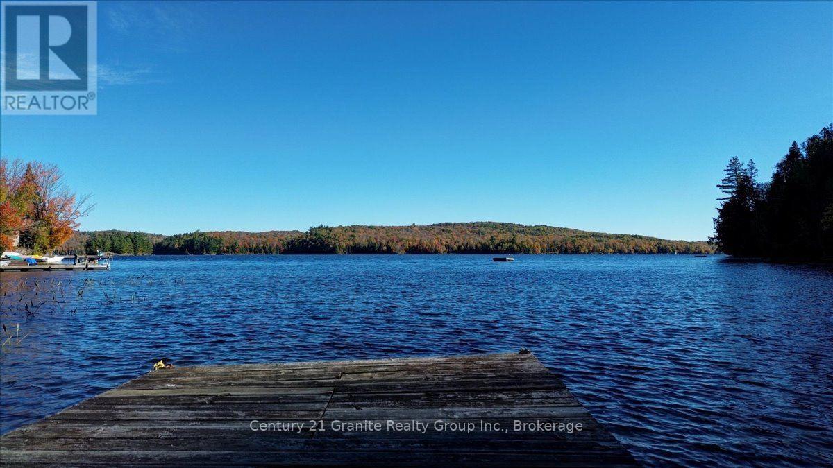 354 Forestview Road N, Hastings Highlands (Herschel Ward), Ontario  K0L 1C0 - Photo 33 - X13880418