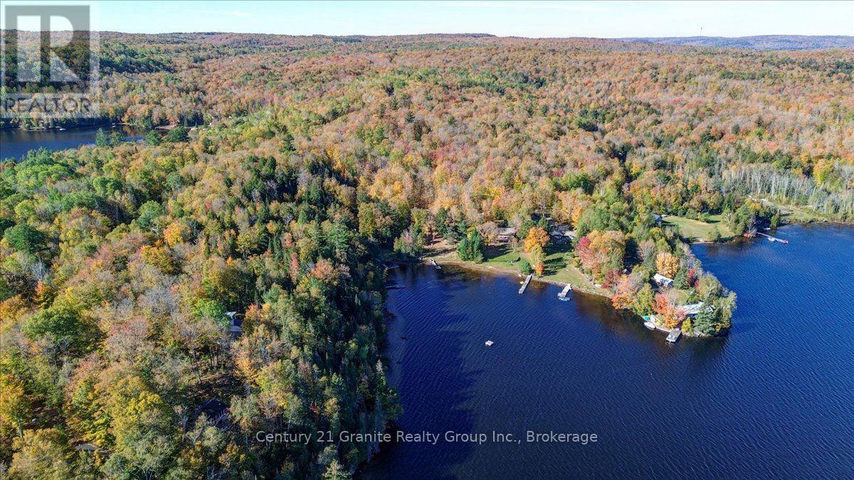 354 Forestview Road N, Hastings Highlands (Herschel Ward), Ontario  K0L 1C0 - Photo 36 - X13880418